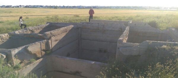 Волонтеры ищут пропавшего Игоря Коцкого в Костанае - Sputnik Казахстан