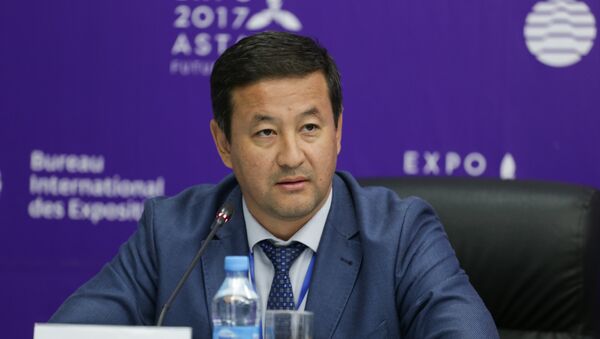 Директор департамента безопасности нацкомпании Астана ЭКСПО-2017 Рустем Чакенов - Sputnik Казахстан