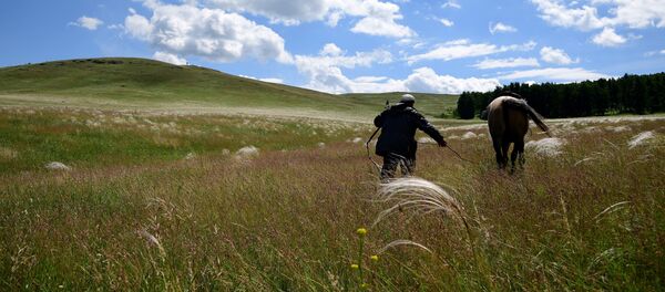Дала Дала - Sputnik Қазақстан