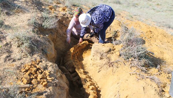 Сенсационные останки древней водной рептилии обнаружены под Мангистау - Sputnik Казахстан