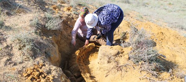 Сенсационные останки древней водной рептилии обнаружены под Мангистау - Sputnik Казахстан