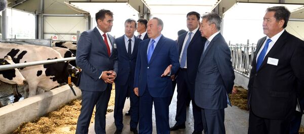 Нурсултан Назарбаев посетил молочно-товарную ферму в ВКО Нурсултан Назарбаев посетил молочно-товарную ферму в ВКО - Sputnik Казахстан
