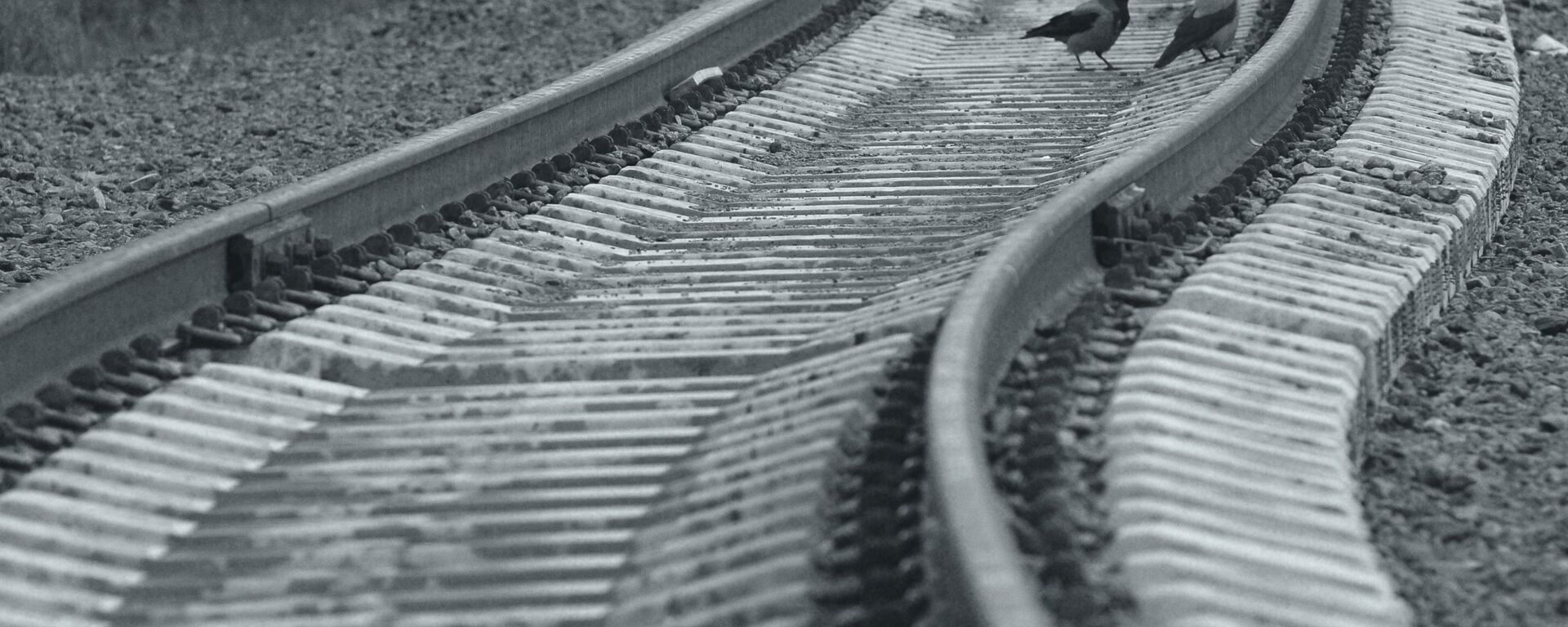 Рельсы, железная дорога - Sputnik Казахстан, 1920, 05.06.2025