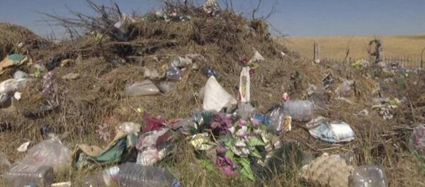 Шымкенттегі бейіт басындағы қоқыс Шымкенттегі бейіт басындағы қоқыс - Sputnik Қазақстан