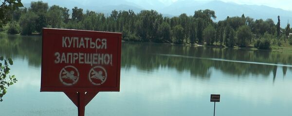 Купание запрещено Купание запрещено - Sputnik Казахстан