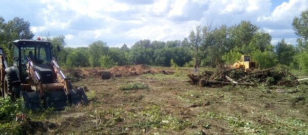 Вырубка деревьев в Центральном парке Караганды - Sputnik Казахстан