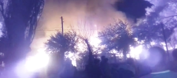 Тұздыбастаудағы ірі өрттің видеосы - Sputnik Қазақстан