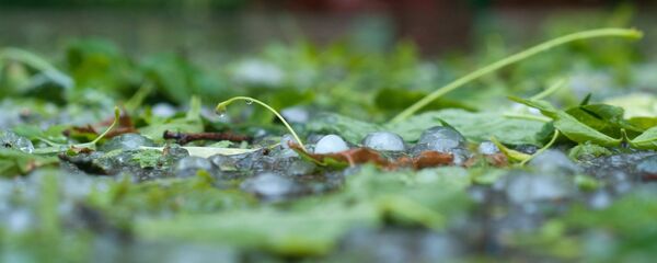 Град на траве, архивное фото Град на траве, архивное фото - Sputnik Казахстан