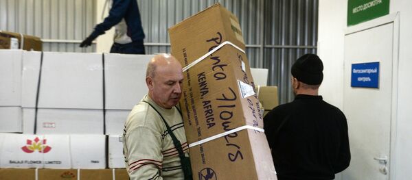 Грузоперевозки Грузоперевозки - Sputnik Казахстан