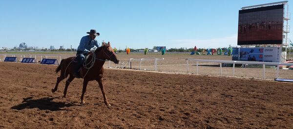 Ковбои из США планируют принять участие в чемпионате мира по кокпару - Sputnik Казахстан