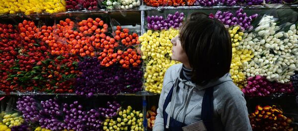 Продажа цветов, архивное фото Продажа цветов, архивное фото - Sputnik Казахстан