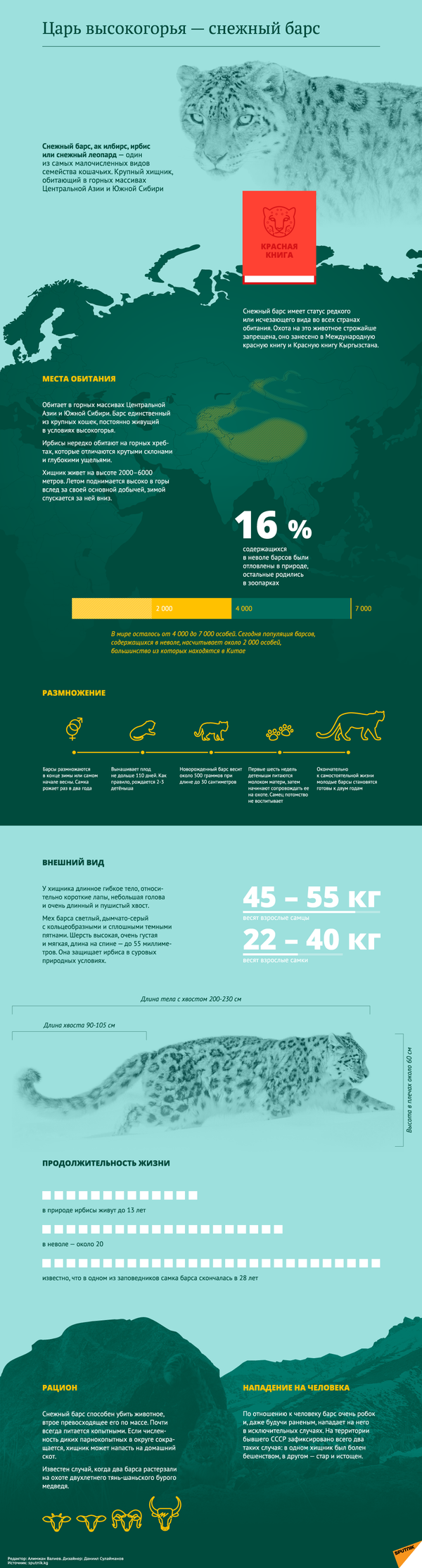 Царь высокогорья - снежный барс - Sputnik Казахстан