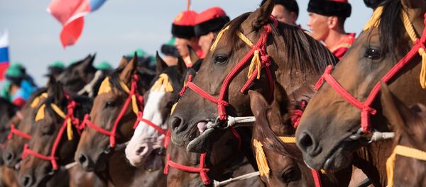 Первый чемпионат мира по кокпару в Астане Первый чемпионат мира по кокпару в Астане - Sputnik Казахстан