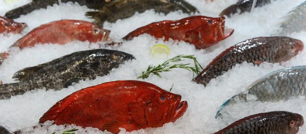 Морепродукты. Архивное фото - Sputnik Казахстан
