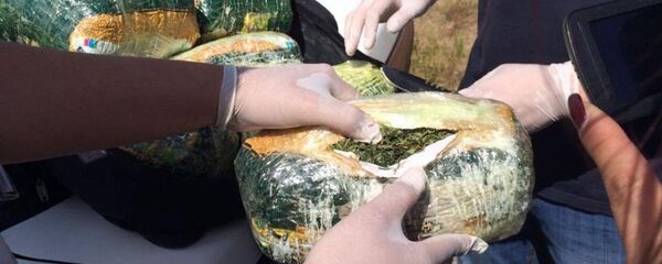 Марихуана. Архивное фото - Sputnik Казахстан