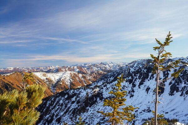 Новый перевал Дятлова: единственный свидетель рассказала о гибели казахстанцев - Sputnik Казахстан