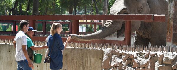 Алматинский зоопарк Алматинский зоопарк - Sputnik Казахстан