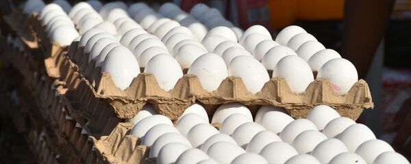 Яйца Яйца - Sputnik Казахстан