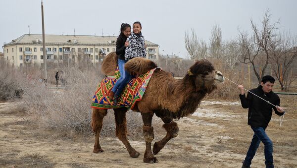 Дети едут на верблюде, архивное фото - Sputnik Казахстан