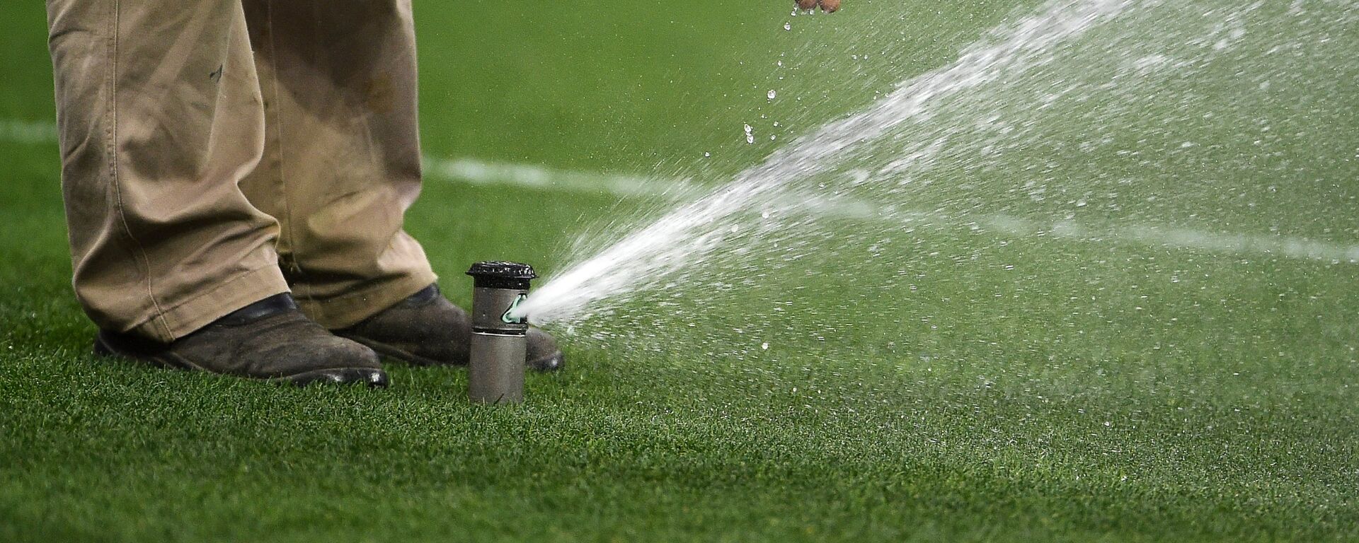 Суару - Sputnik Қазақстан, 1920, 04.12.2025