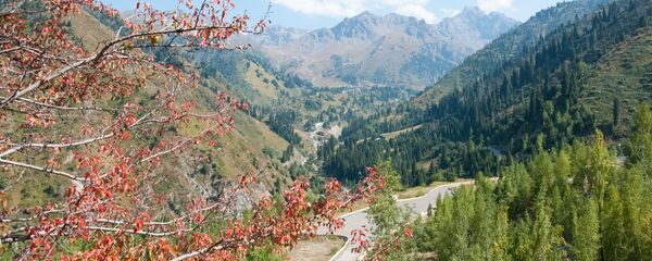 Осень в горах Алматы - Sputnik Казахстан