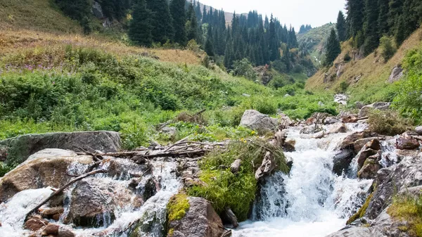 Архивтені фото - Sputnik Қазақстан