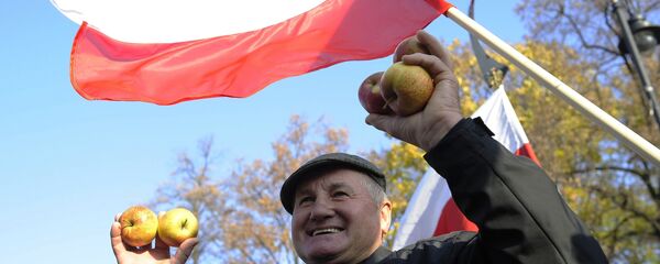 Флаг Польши, архивное фото Флаг Польши, архивное фото - Sputnik Казахстан