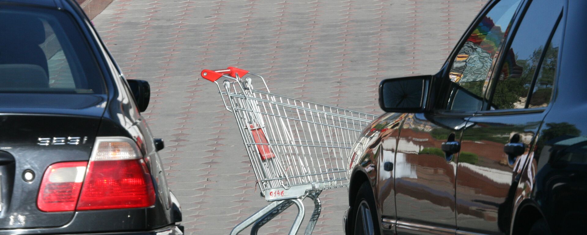 Продуктовая тележка - Sputnik Қазақстан, 1920, 16.10.2024