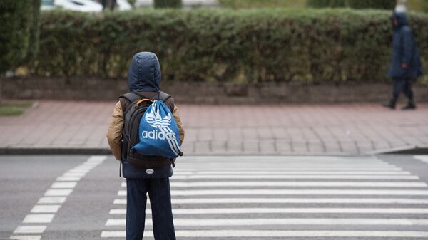 Мальчик переходит дорогу - Sputnik Казахстан
