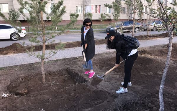 Сотрудники Sputnik Казахстан посадили деревья на субботнике в Астане - Sputnik Казахстан