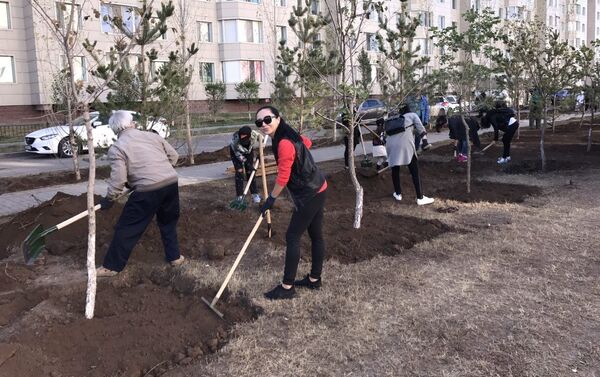 Сотрудники Sputnik Казахстан посадили деревья на субботнике в Астане - Sputnik Казахстан