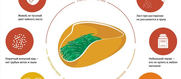 Инфографика - Как выбрать чай - Sputnik Казахстан