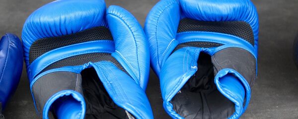 Боксерские перчатки Боксерские перчатки - Sputnik Казахстан