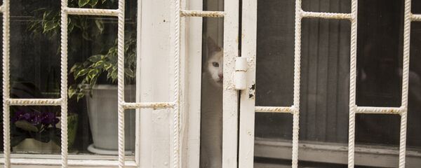Окно с решеткой, архивное фото Окно с решеткой, архивное фото - Sputnik Казахстан