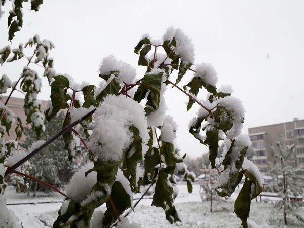 Первый снег выпал в Петропавловске - Sputnik Казахстан