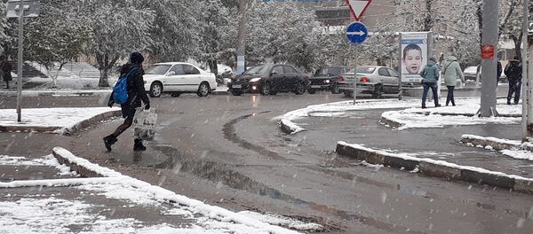 Петропавловск, архивное фото - Sputnik Казахстан