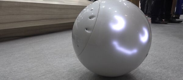 Японский робот для детей Японский робот для детей - Sputnik Казахстан