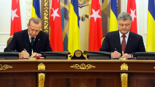 Президент Турции Реджеп Тайип Эрдоган (слева) и президент Украины Петр Порошенко во время встречи в Киеве - Sputnik Казахстан