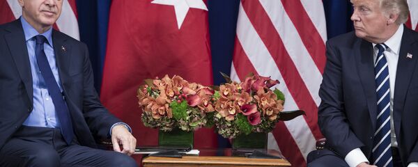 Президент Турции Реджеп Тайип Эрдоган и президент США Дональд Трамп, архивное фото - Sputnik Казахстан