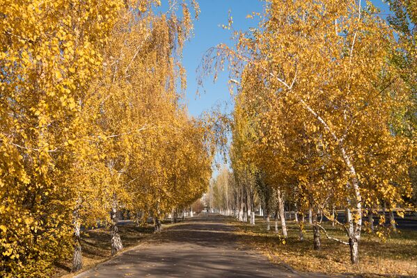 Осень в Астане - Sputnik Казахстан