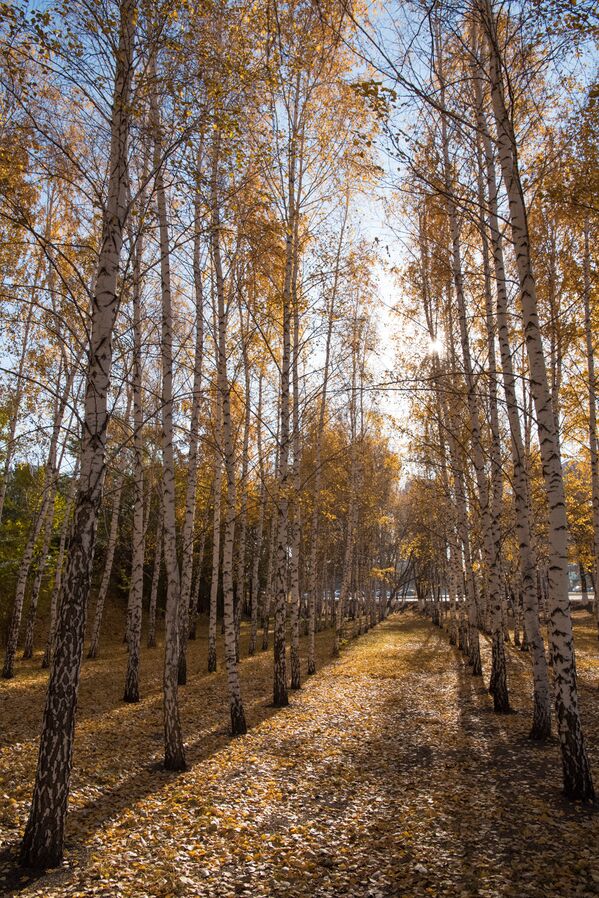 Осень в Астане - Sputnik Казахстан