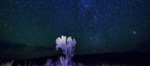 Государственный национальный природный парк Алтын-Эмель Государственный национальный природный парк Алтын-Эмель - Sputnik Казахстан
