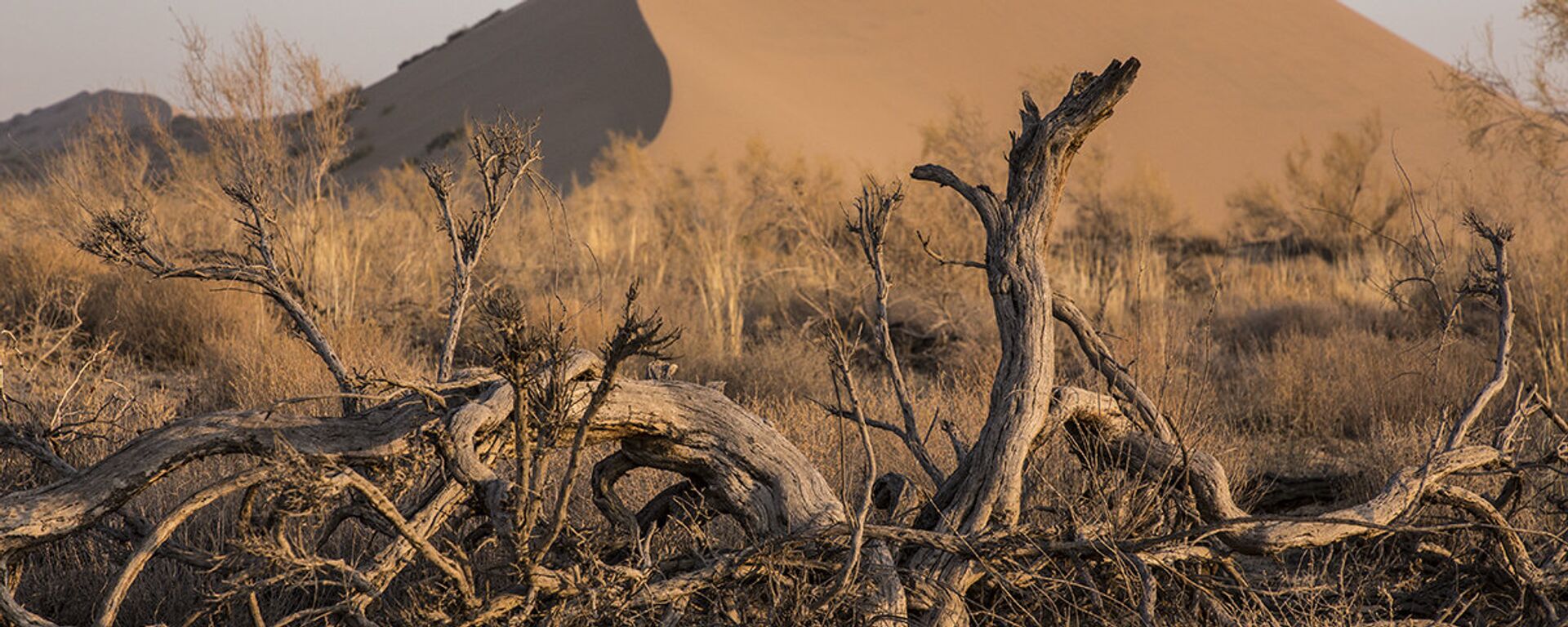 Государственный национальный природный парк Алтын-Эмель - Sputnik Казахстан, 1920, 21.01.2019