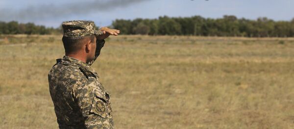 Военнослужащий смотри вслед самолету, архивное фото Военнослужащий смотри вслед самолету, архивное фото - Sputnik Казахстан