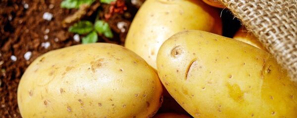 Картофель - Sputnik Казахстан