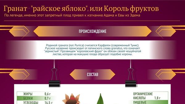 Король фруктов - гранат - Sputnik Казахстан