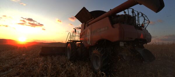 Уборка урожая, архивное фото - Sputnik Казахстан