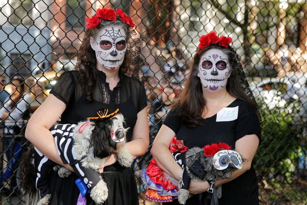 Собачий Хеллоуин-парад в Нью-Йорке - Sputnik Казахстан