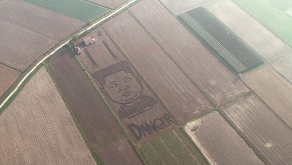Двухсотметровый портрет Ким Чен Ына на соевом поле в Италии - Sputnik Казахстан