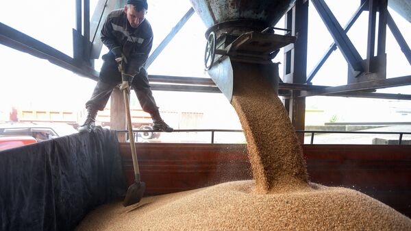 Рабочий насыпает пшеницу в грузовик, архивное фото - Sputnik Казахстан